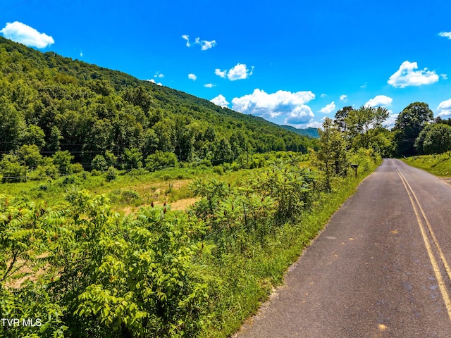 443 Butcher Valley Rd, Rogersville, TN 37857 - photo 18