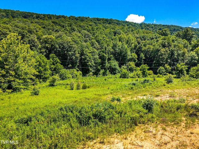 443 Butcher Valley Rd, Rogersville, TN 37857 - photo 20