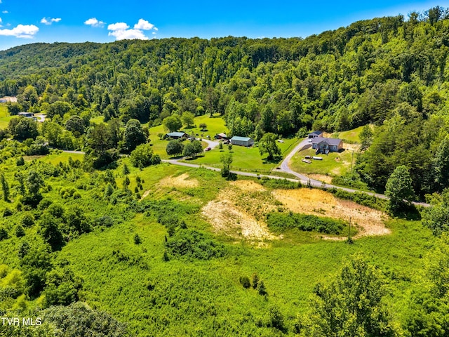 443 Butcher Valley Rd, Rogersville, TN 37857 - photo 21