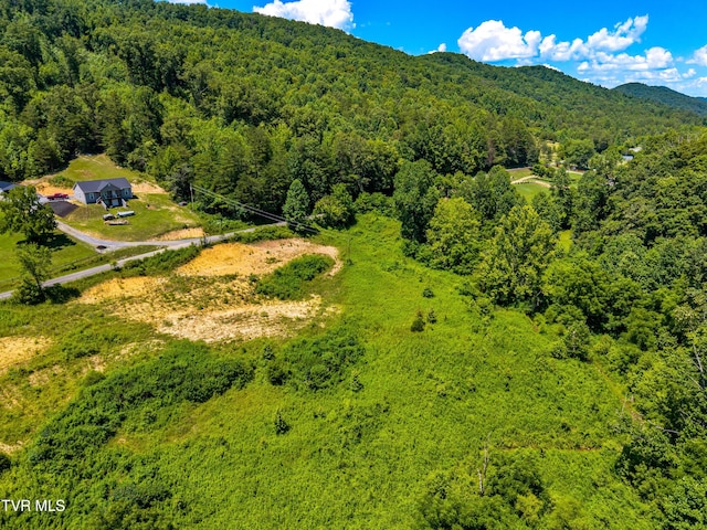 443 Butcher Valley Rd, Rogersville, TN 37857 - photo 22