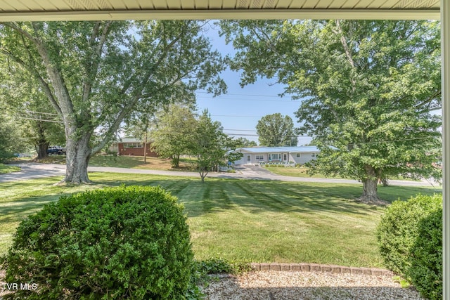 126 Charlem Hills Rd, Jonesborough, TN 37659 - photo 3