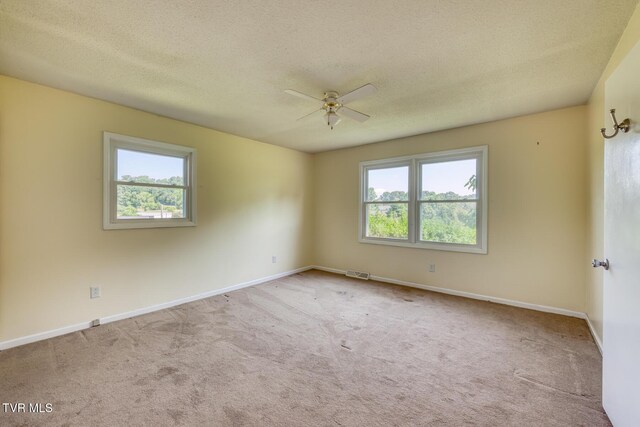 126 Charlem Hills Rd, Jonesborough, TN 37659 - photo 23