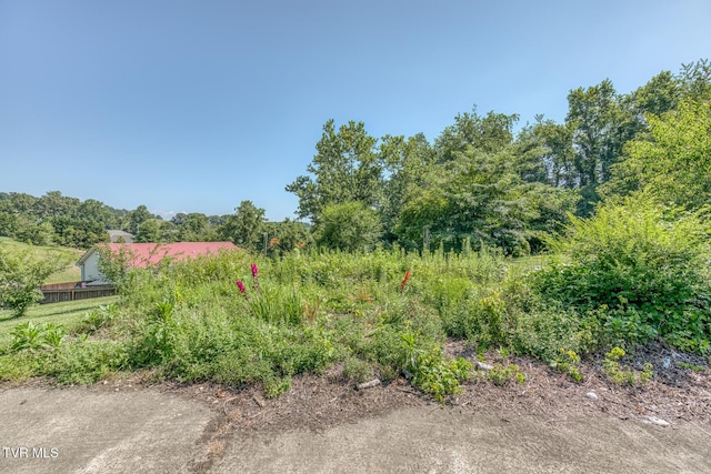 126 Charlem Hills Rd, Jonesborough, TN 37659 - photo 38