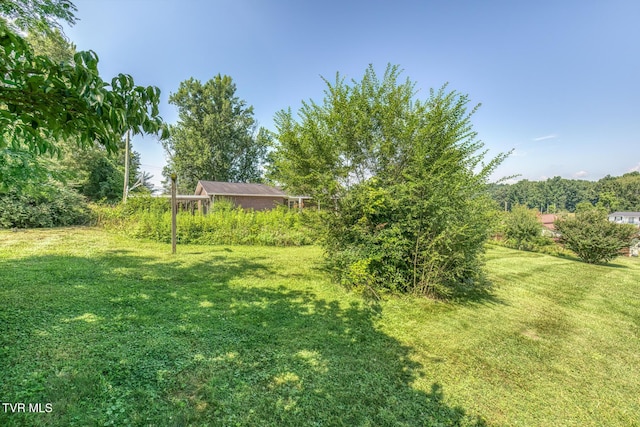 126 Charlem Hills Rd, Jonesborough, TN 37659 - photo 45