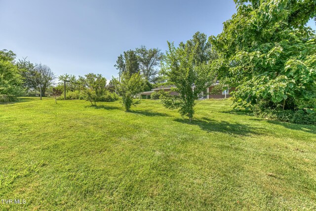126 Charlem Hills Rd, Jonesborough, TN 37659 - photo 47