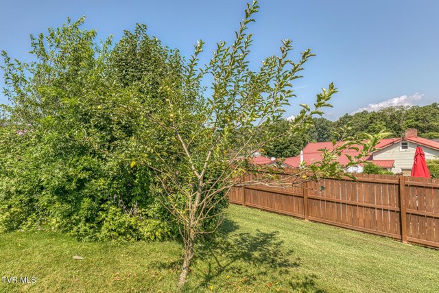 126 Charlem Hills Rd, Jonesborough, TN 37659 - photo 50