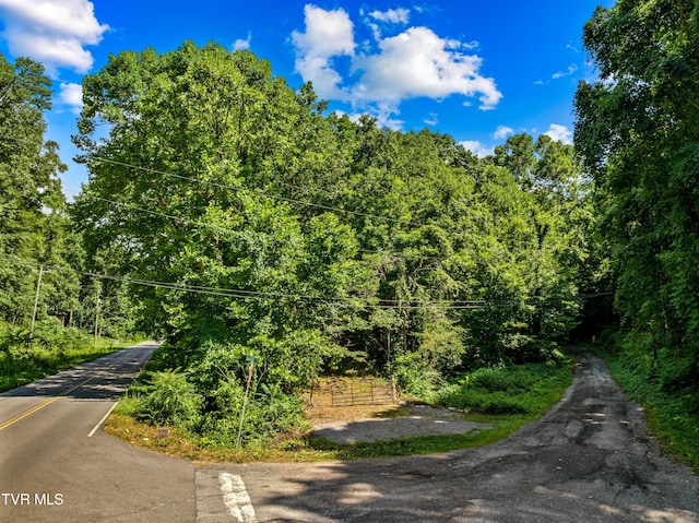 00 Shortt Rd, Mooresburg, TN 37811 - photo 2