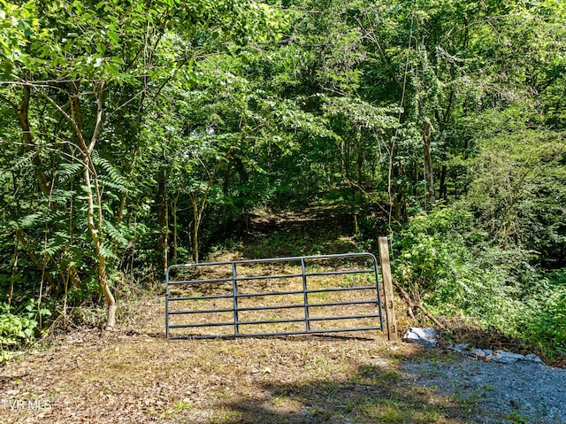 00 Shortt Rd, Mooresburg, TN 37811 - photo 3