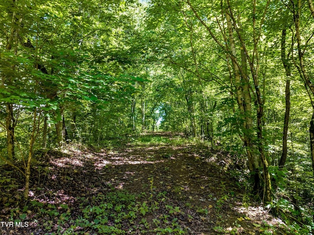 00 Shortt Rd, Mooresburg, TN 37811 - photo 4
