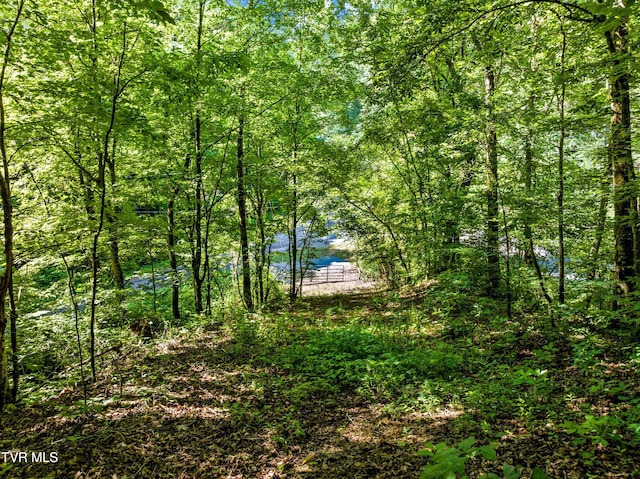 00 Shortt Rd, Mooresburg, TN 37811 - photo 5