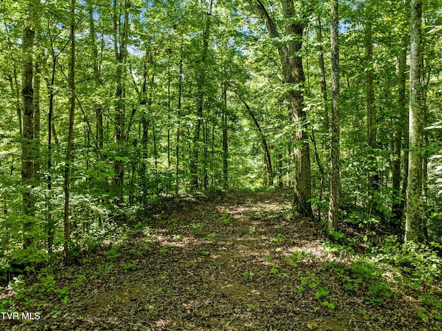 00 Shortt Rd, Mooresburg, TN 37811 - photo 6