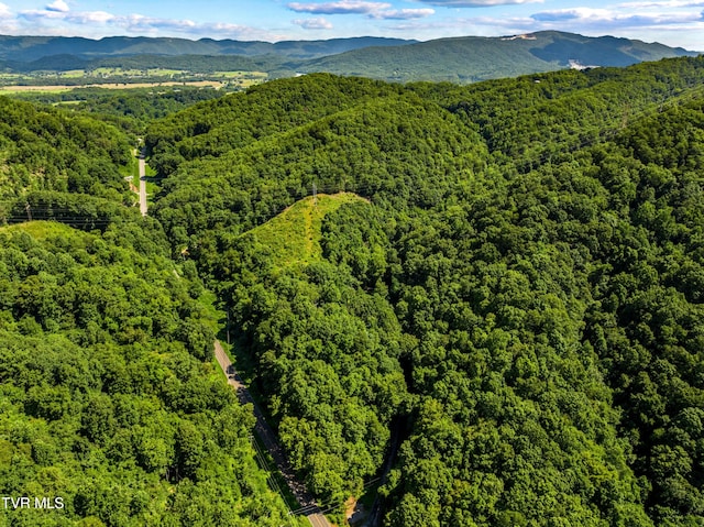 00 Shortt Rd, Mooresburg, TN 37811 - photo 7