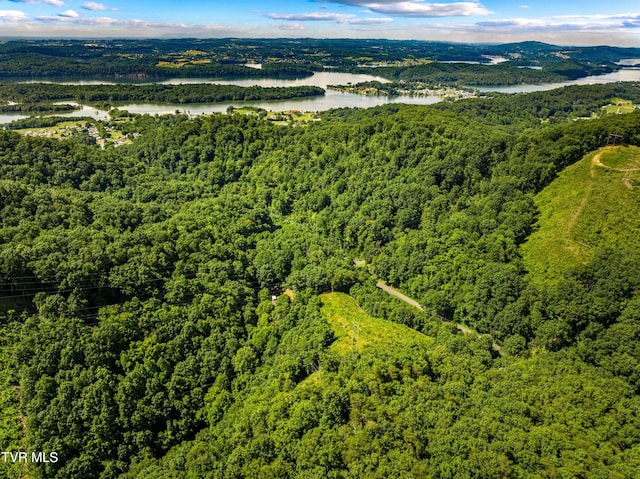 00 Shortt Rd, Mooresburg, TN 37811 - photo 11
