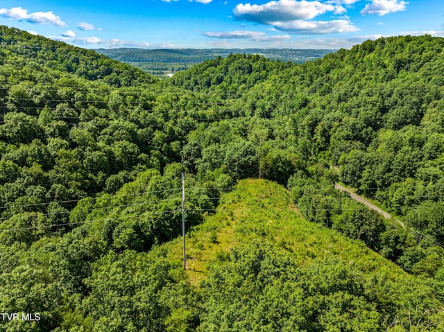00 Shortt Rd, Mooresburg, TN 37811 - photo 12
