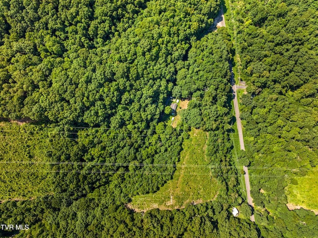 00 Shortt Rd, Mooresburg, TN 37811 - photo 13