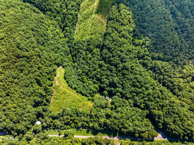00 Shortt Rd, Mooresburg, TN 37811 - photo 14