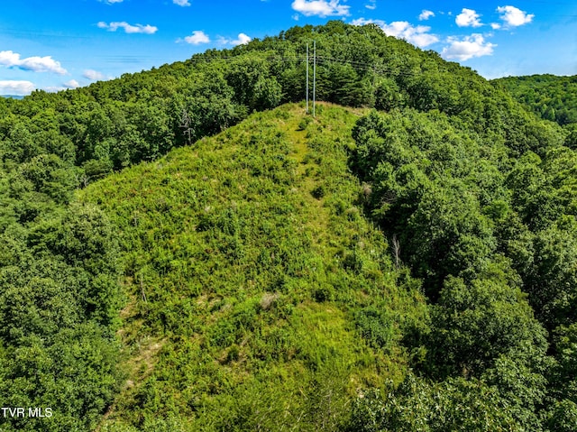 00 Shortt Rd, Mooresburg, TN 37811 - photo 16