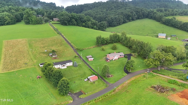 15813 Black Hollow Rd, Abingdon, VA 24210 - view of rural area with a pastoral area
