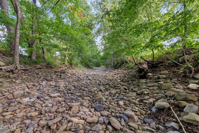 230 Fishpond Rd, Chuckey, TN 37641 - photo 40