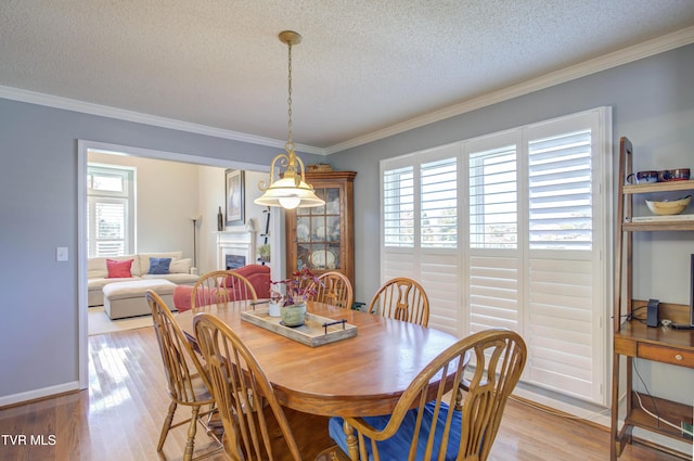 116 Lindsay Ln, Gray, TN 37615 - photo 14
