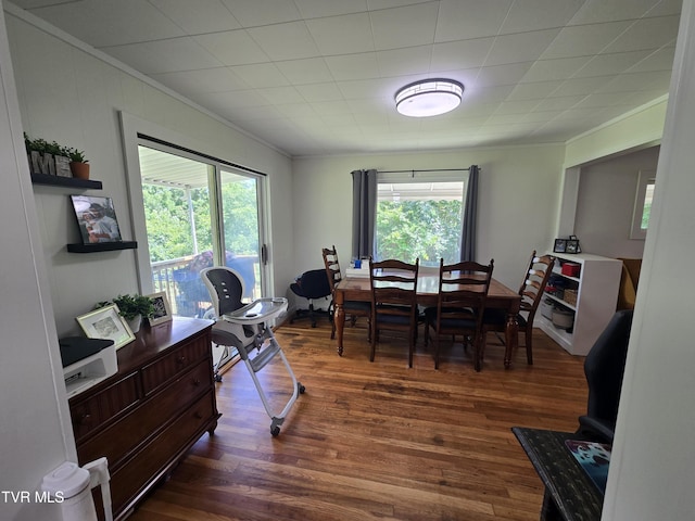 1358 Bristol Hwy, Elizabethton, TN 37643 - dining room with ornamental molding and dark wood-type flooring