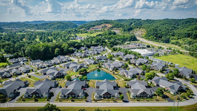 1549 Hatterdale Farm Rd Unit 1549, Blountville, TN 37617 - photo 42