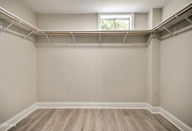 1091 Long Crescent Dr, Bristol, VA 24201 - walk in closet with light wood-style floors