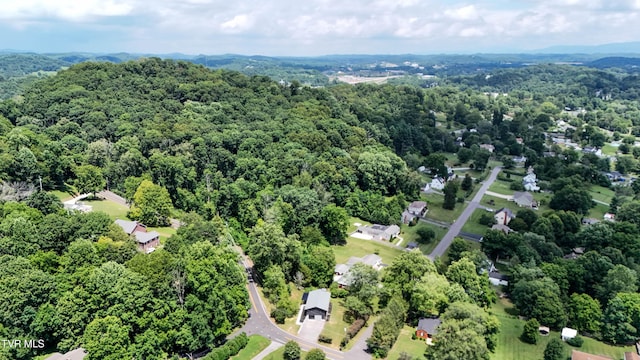 1091 Long Crescent Dr, Bristol, VA 24201 - drone / aerial view of a forest