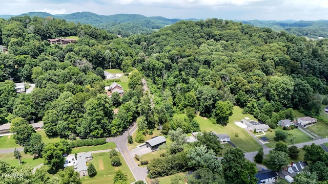 1091 Long Crescent Dr, Bristol, VA 24201 - drone / aerial view of a forest