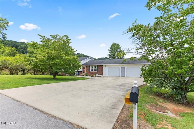 1540 Maple Hill Dr, Mount Carmel, TN 37645 - photo 3