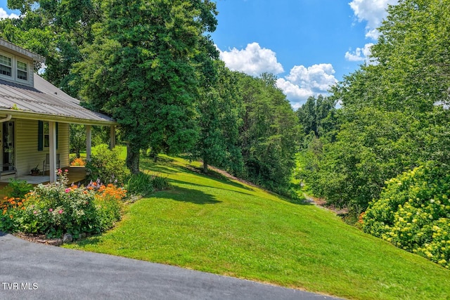 129 Cardinal Dr, Rogersville, TN 37857 - photo 5