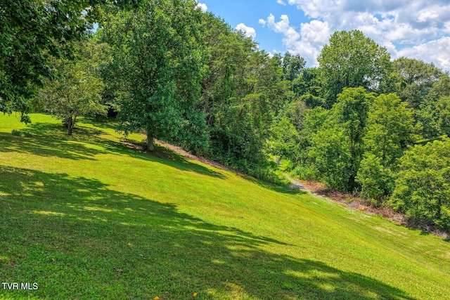 129 Cardinal Dr, Rogersville, TN 37857 - photo 18