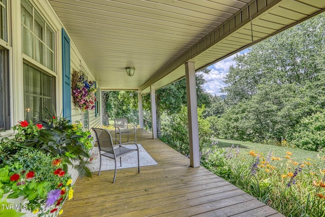 129 Cardinal Dr, Rogersville, TN 37857 - photo 20