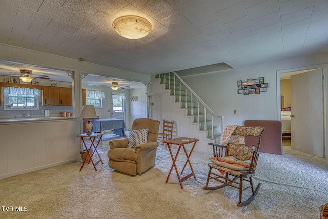 129 Cardinal Dr, Rogersville, TN 37857 - photo 24