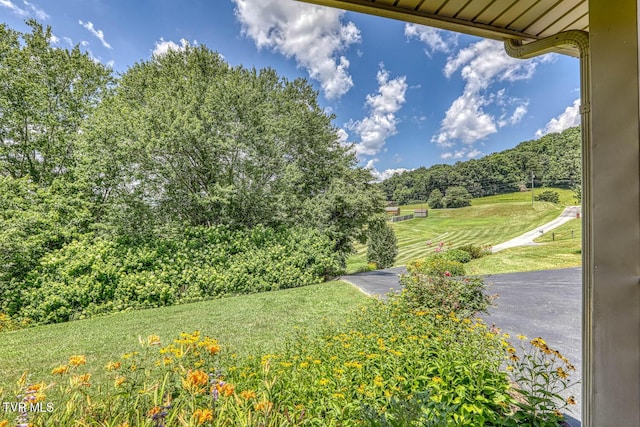 129 Cardinal Dr, Rogersville, TN 37857 - photo 47