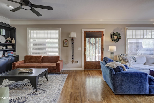 704 E Watauga Ave, Johnson City, TN 37601 - photo 15