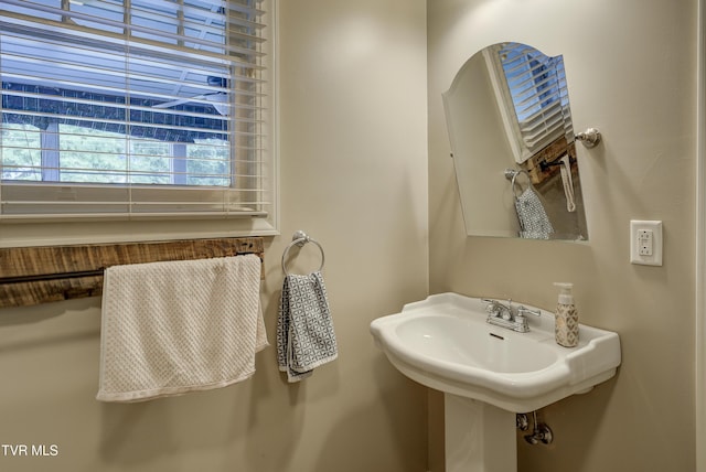 704 E Watauga Ave, Johnson City, TN 37601 - photo 34