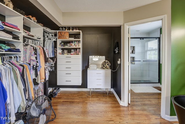 704 E Watauga Ave, Johnson City, TN 37601 - photo 40