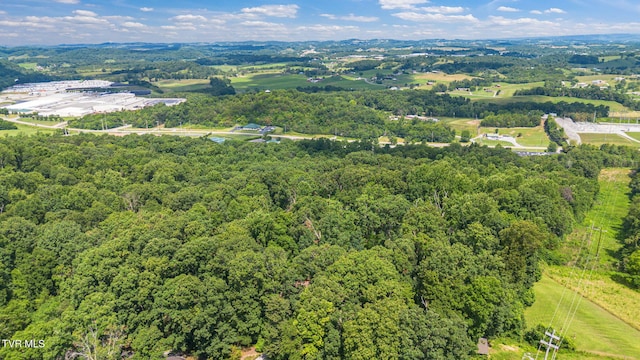 218 W Panoramic View Dr, Greeneville, TN 37743 - photo 42