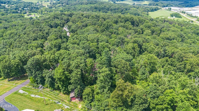 218 W Panoramic View Dr, Greeneville, TN 37743 - photo 43