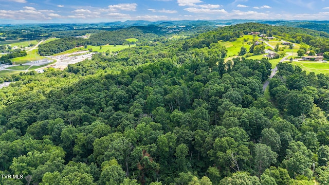 218 W Panoramic View Dr, Greeneville, TN 37743 - photo 44