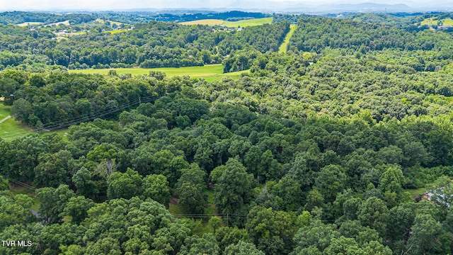 218 W Panoramic View Dr, Greeneville, TN 37743 - photo 45
