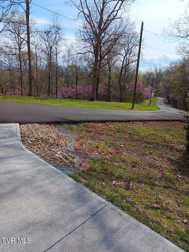 218 W Panoramic View Dr, Greeneville, TN 37743 - photo 5