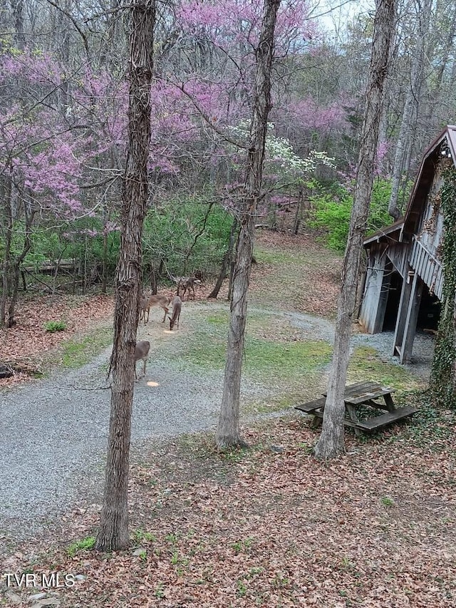 218 W Panoramic View Dr, Greeneville, TN 37743 - photo 50