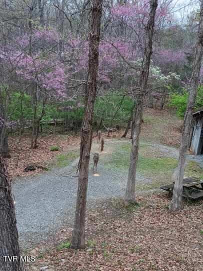 218 W Panoramic View Dr, Greeneville, TN 37743 - photo 51