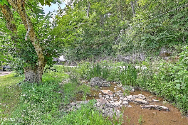 301 Keenburg Rd, Bluff City, TN 37618 - view of yard