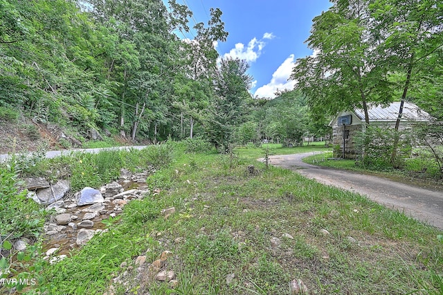 301 Keenburg Rd, Bluff City, TN 37618 - view of yard