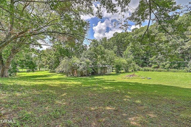 301 Keenburg Rd, Bluff City, TN 37618 - view of green lawn