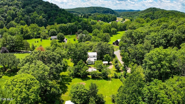 301 Keenburg Rd, Bluff City, TN 37618 - aerial view of a heavily wooded area