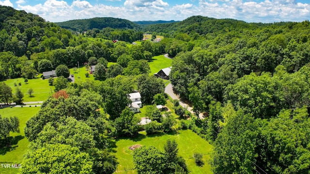 301 Keenburg Rd, Bluff City, TN 37618 - aerial view of a heavily wooded area